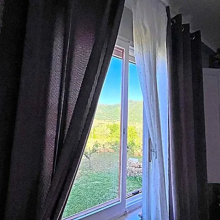 Tenuta Delle Acque *
