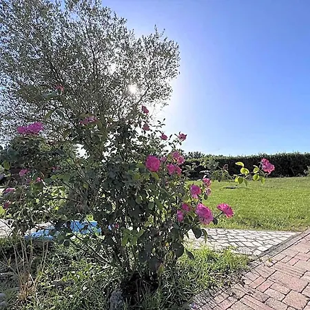 Tenuta Delle Acque אתר נופש *