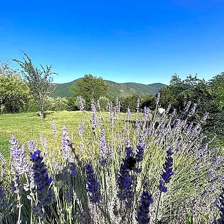 Tenuta Delle Acque *