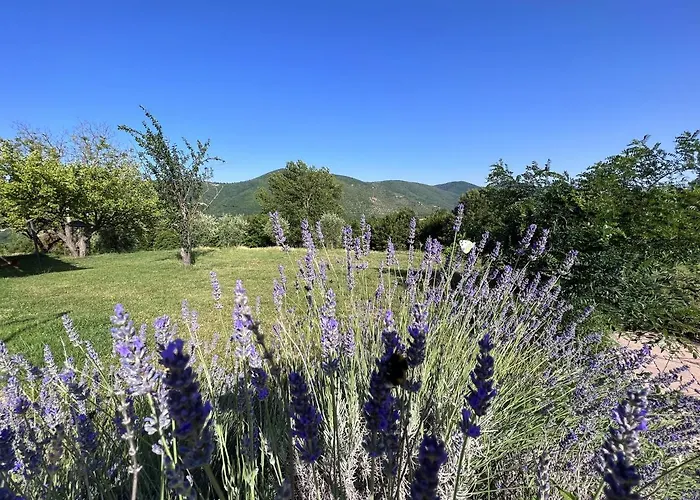 Rezort Tenuta Delle Acque Acquasparta